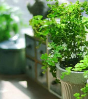 辽阳专属于你的开运指南，助你鸿运当头福满身！