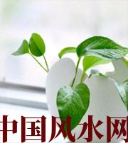 辽阳家中摆放六种吉祥物，会打开您的财运大门！